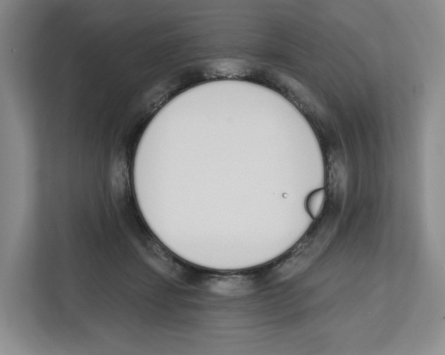 X0000112500459200909141227