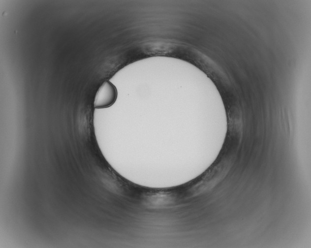 X0000112500460200909141227