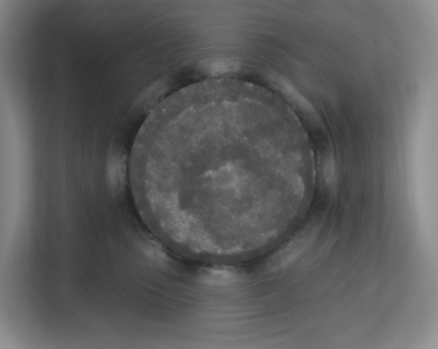 X0000112500475200909141228