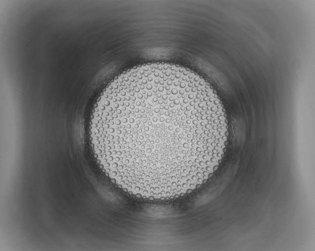 X0000112500494200909141227