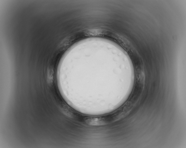 X0000112500507200909141227