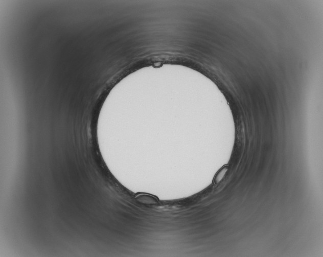 X0000112500508200909141227