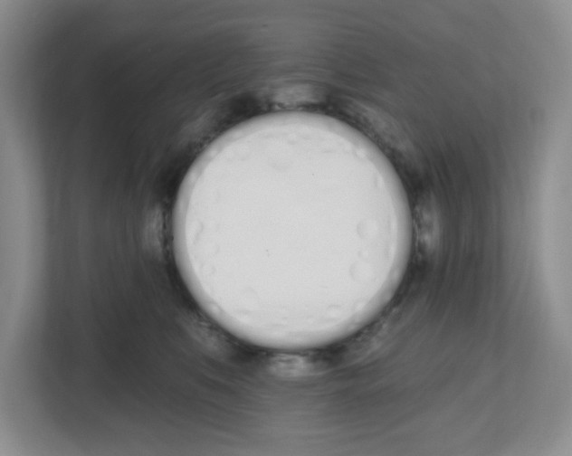 X0000112500519200909141227