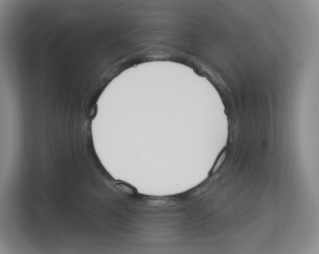 X0000112500521200909141226