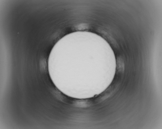 X0000112500523200909141226