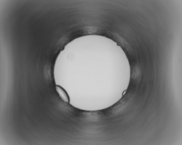 X0000112500524200909141226