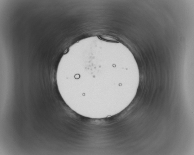 X0000112500525200909141226