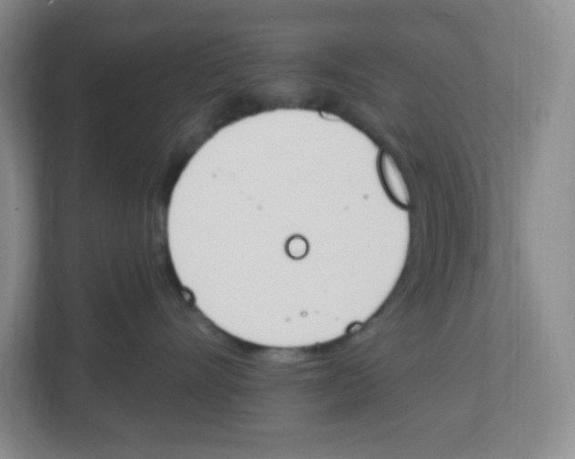 X0000112500528200909141226