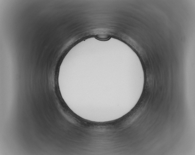 X0000112500530200909141226