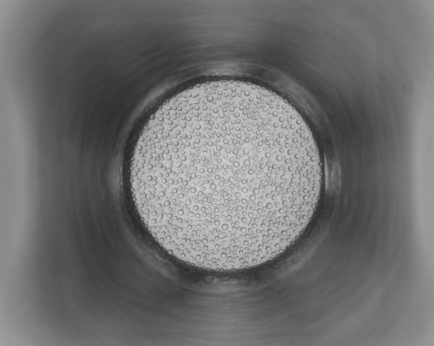 X0000112500531200909141226