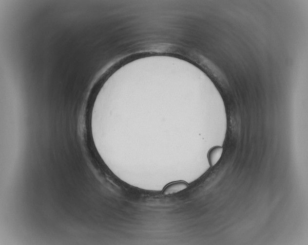 X0000112500532200909141226