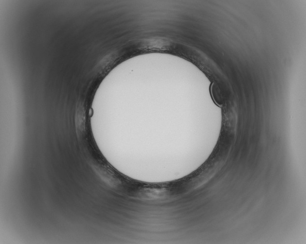 X0000112500552200909141226