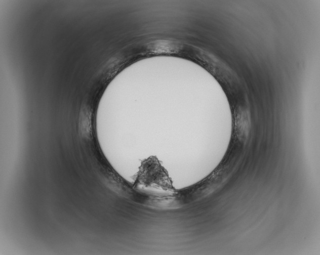 X0000112500554200909141226