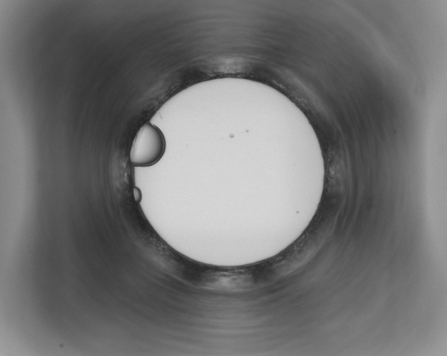 X0000112500555200909141226