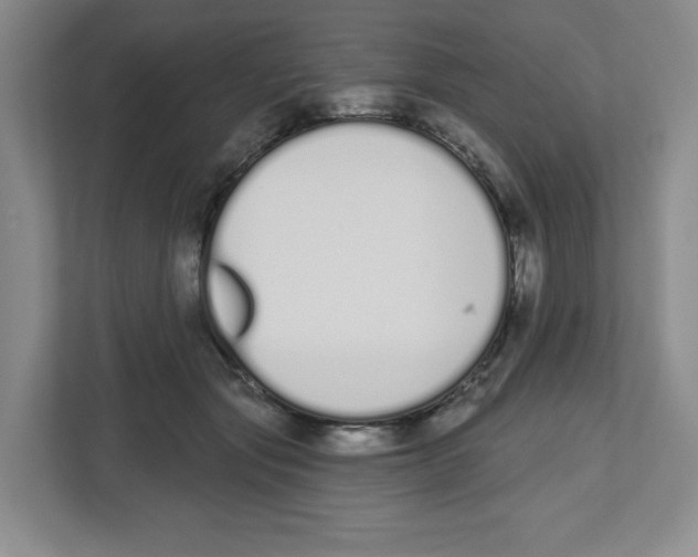 X0000112500557200909141226