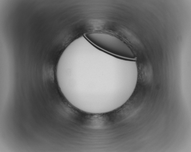 X0000112500562200909141226