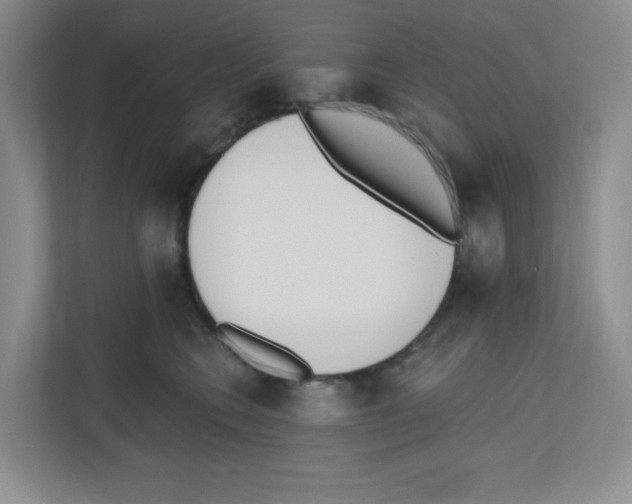 X0000112500566200909141226