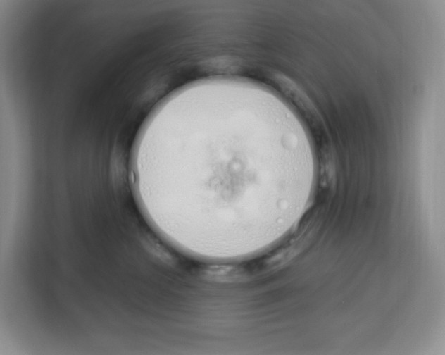 X0000112500573200909141226