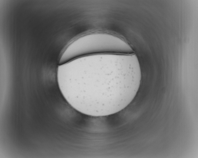 X0000112500576200909141226