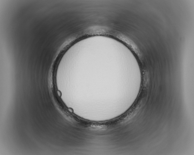 X0000112500582200909141226