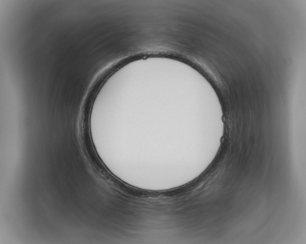 X0000112500583200909141226