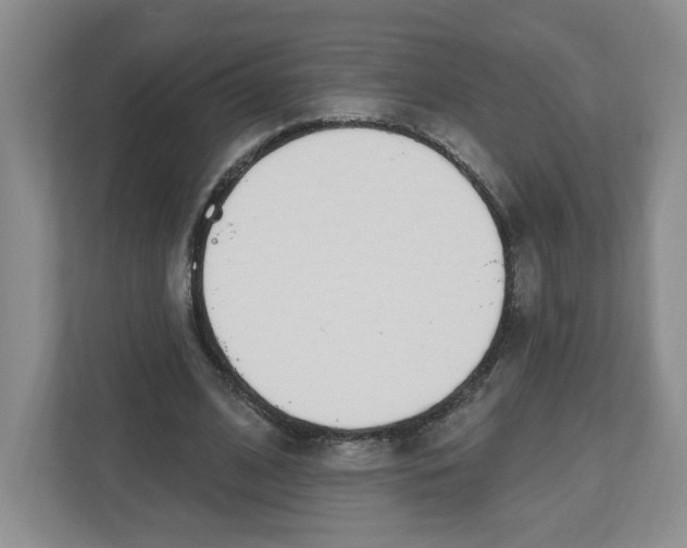 X0000112500584200909141226