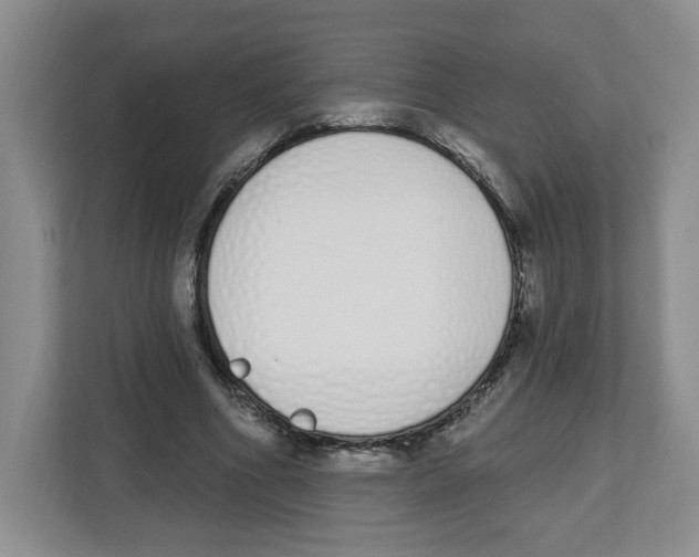 X0000112500586200909141226