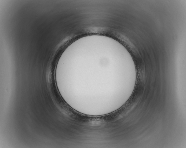 X0000112500587200909141226