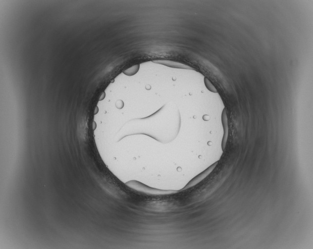 X0000112500596200909141226