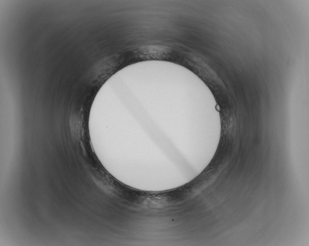 X0000112500599200909141225