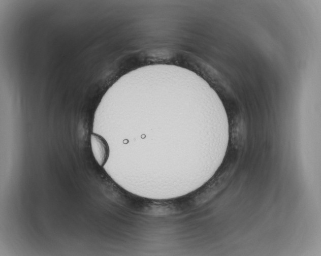 X0000112500608200909141225