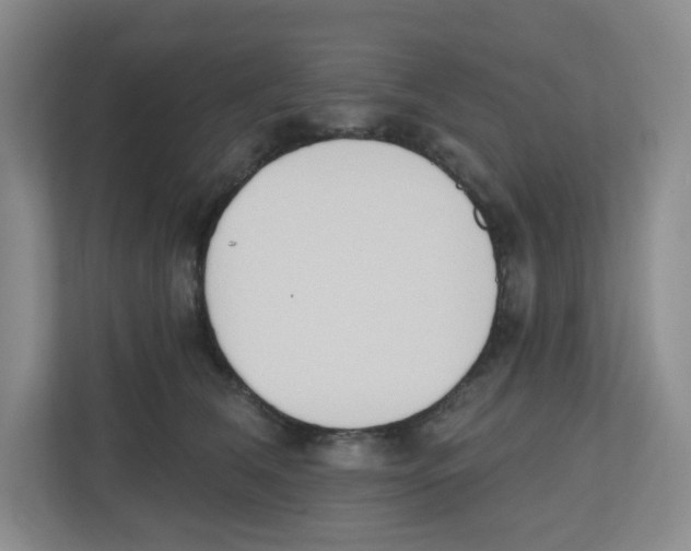 X0000112500612200909141225