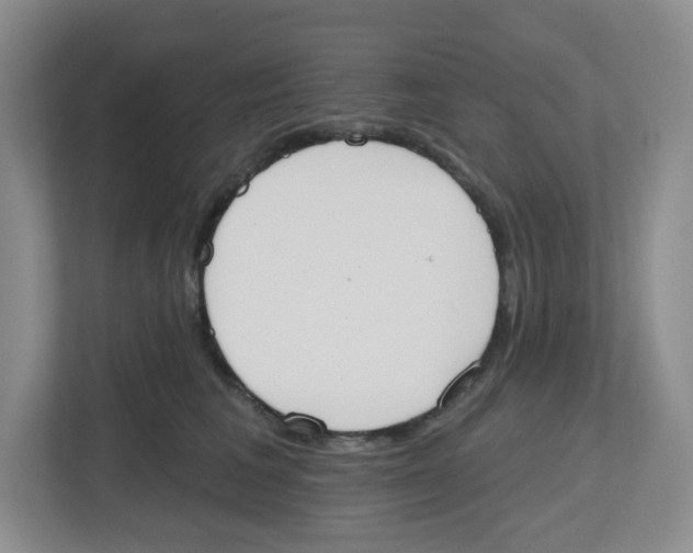 X0000112500613200909141225