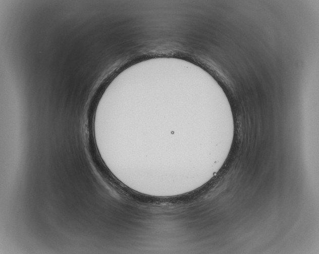 X0000112500634200909141225