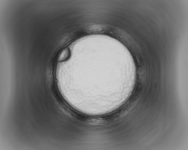 X0000112500642200909141225