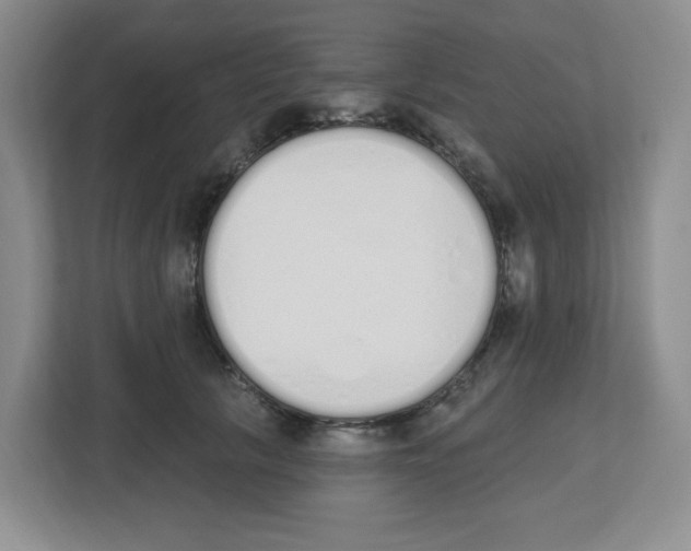 X0000112500657200909141225