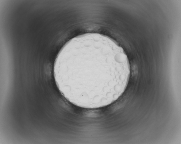 X0000112500664200909141225