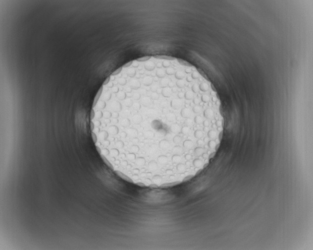 X0000112500669200909141225