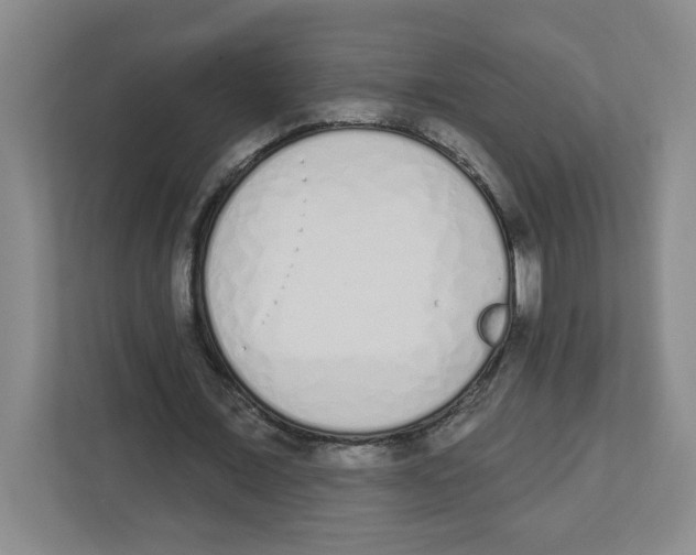 X0000112500675200909141224