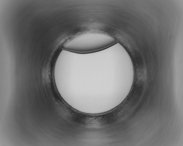 X0000112500680200909141224