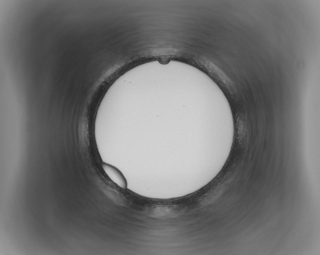 X0000112500684200909141224