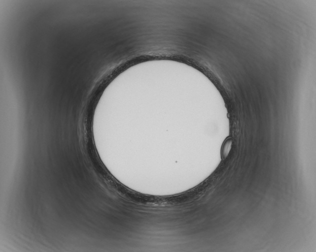 X0000112500688200909141224