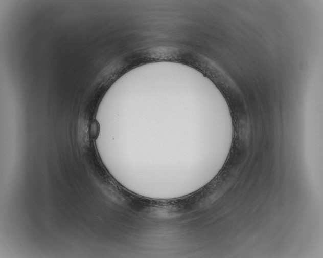 X0000112500696200909141224