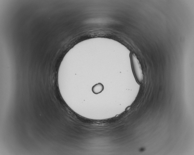 X0000112500701200909141224