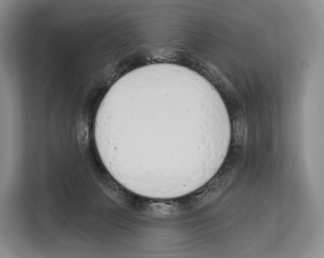 X0000112500703200909141224