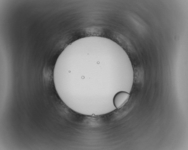 X0000112500713200909141224