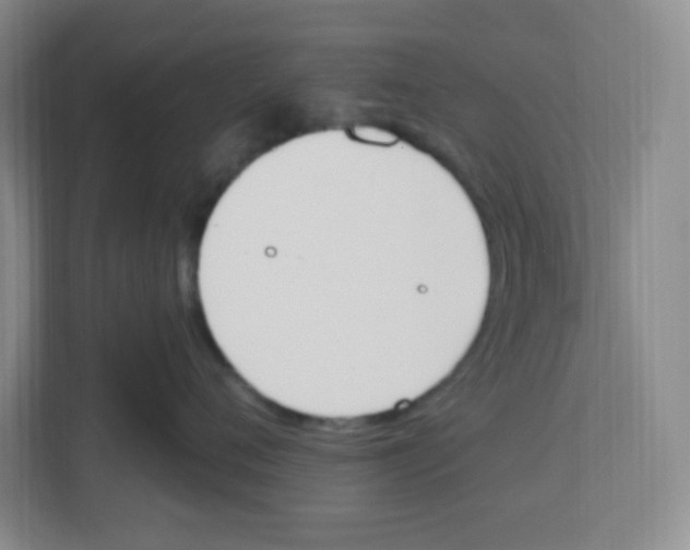 X0000112500720200909141224