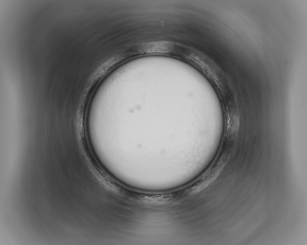 X0000112500725200909141223