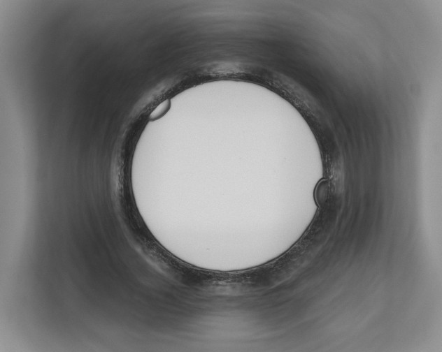 X0000112500732200909141223