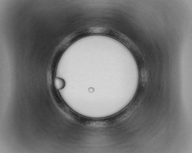 X0000112500734200909141223